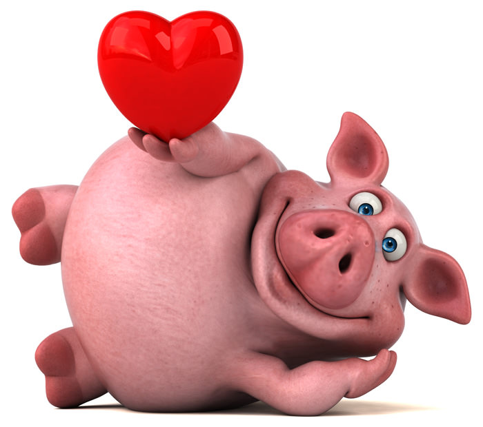 Valentines Day pig
